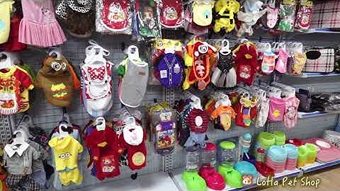 Loha Pet Shop bán Quần áo chó mèo - Thời trang thú cưng 2020