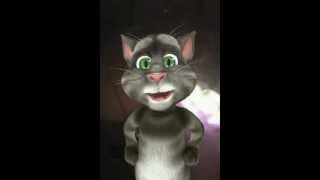 Talking Tom- te pido señor