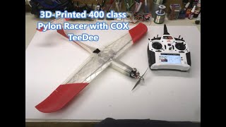 3D-Printed Pylon Racer with COX TeeDee