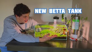 Setting Up A New Shallow Betta Tank!