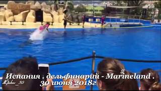 Супер шоу с дельфинами. Испания,дельфинарий - Marineland 30 июня 2018г Супер шоу с дельфинами. Испания,дельфинарий - Marineland 30 июня 2018г
