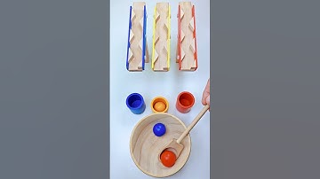 Color Sorting ASMR#asmr #funny #video #youtube #ytshorts