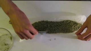 Rolling a One Ounce Joint! One fully stuffed cannon!