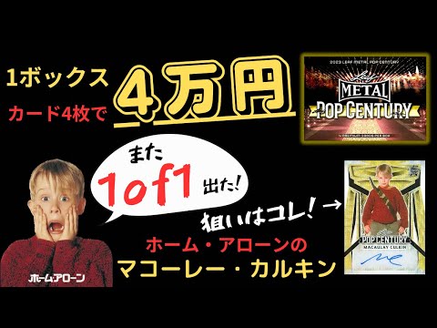 新品未使用　ホーム. アローン　マコーレカルキン　オーナーメント 2a66b3fb54f24b4.jpg