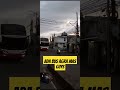 PAGI PAGI MASIH KETEMU BUS!! TELOLET OM #basuri #busmania #automobile #buspariwisata #pariwisata