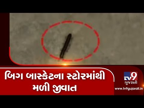 Ahmedabad: Health dept finds insects at 'Big Basket' store in Ahmedabad| TV9News