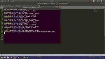 zombie and orphan processes in linux
