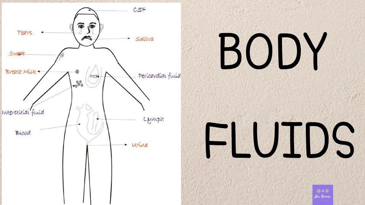 BODY FLUIDS BIO FLUIDS Malayalam Bio Ocean By Sheethal Maria BODY FLUIDS BIO FLUIDS Malayalam Bio Ocean By Sheethal Maria