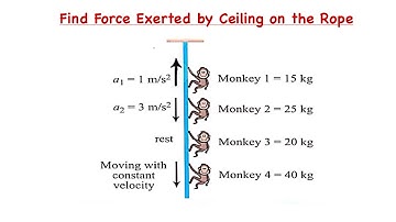Rope and Monkey System Problem | Centre of Mass Concept | JEE Main & NEET Physics