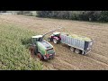 Siliranje na Kmetiji Gorbelnik Črnej/corn silage/2020/fendt katana/steyr/fendt/claas