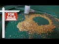 Gold Concentrates for Sale - Georgia Raw Pay Dirt