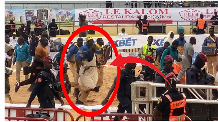 L’entrée de Modou Lo à l’arreine national lors de sa combat contre boy niang