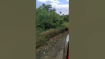 17234 17233 Onboard Bhagyanagar Express 