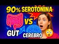 Serotonina 90 %: así la fabrica tu microbiota y no tu cerebro 🧠🦠