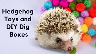 Favourite Hedgehog Toys and DIG BOX IDEAS