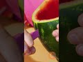 Watermelon Helmet: Bird Poop Defense! 🍉😂 | Use “SUE DJ - VANILA” in your Shorts