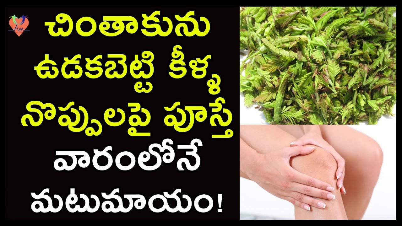 Knee Pain Treatment at Home Home Remedies for Knee Pain Arogya