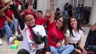Cole Show VM 21 |  Colegio San Luis Gonzaga