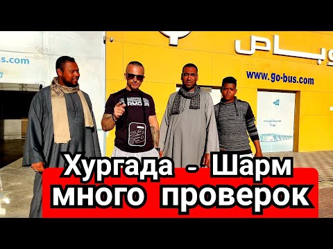 Египет 2021 Переезд из Хургады в Шарм Эль Шейх на автобусе через Каир / Цены на билеты