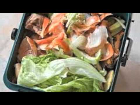 Food Waste - Environment Project - YouTube