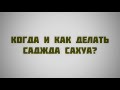 48. Когда и как делать саджда сахуа?