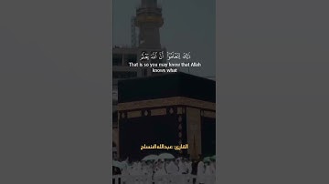 جعل الله الكعبة البيت الحرام قياما للناس والشهر الحرام والهدي والقلائد - القارئ د. عبدالله المنسلح