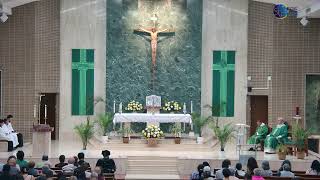 Fourteenth Sunday in Ordinary Time | XIV Domingo Ordinario