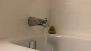 Bathtub Filling ASMR // Full Pressure Filling with a Gold Duck 3 Hour Loop