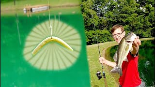 Master the Wacky Rig with These Quick Tips!