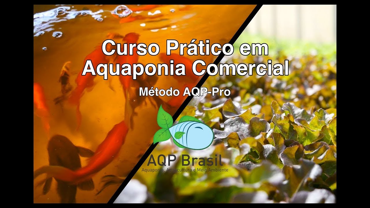 vegetais lasanha AQP Brasil - Practical Course in Comercial Aquaponics