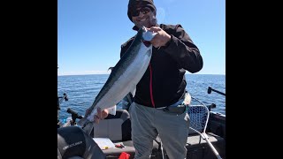 Hot Fishing in the Cold. Steelhead and Coho Salmon arrive in Sheboygan.