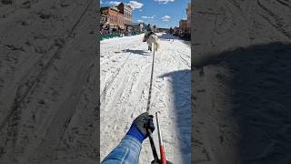 Leadville Skijoring Is One Hell Of A Time.