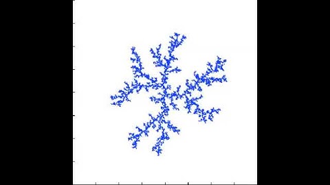 Simulation of a Diffusion Limited Aggregate (DLA)