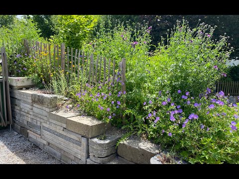 Video: Grüne Pflanzen Im Garten. Teil 2