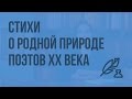 Стихи о родной природе поэтов XX века. Видеоурок по литературе 7 класс