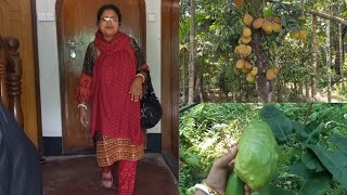 Beautiful Village In Bangladesh/ Village Life/Village Area View @binasarkarvlog4677