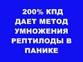 РЕПТИЛОИДЫ В ПАНИКЕ !!!200% КПД ДАЕТ МЕТОД УМНОЖЕНИЯ