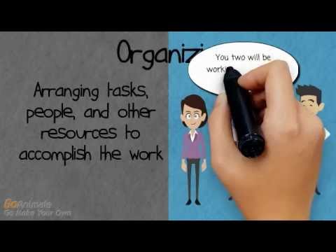 Video: How To Organize Management In An Organization