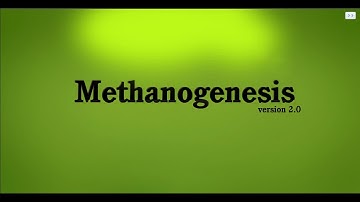 CDP : Methanogenesis