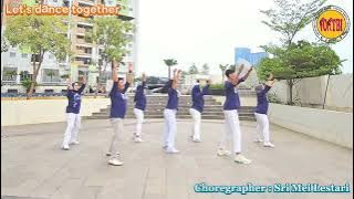 LET'S DANCE TOGETHER | TARIAN BARIS | LINE DANCE | POTBI | DISCO