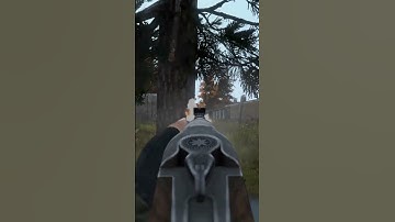 The Blaze is Good With or Without a Scope #dayz #shorts