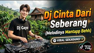 Dj Cinta Dari Seberang  Remix Dj Gayo
