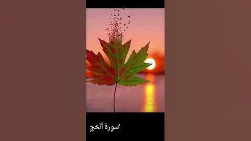 وجاهدو بلله حق جهاده (سورة الحج )الشيخ ياسر الدوسري