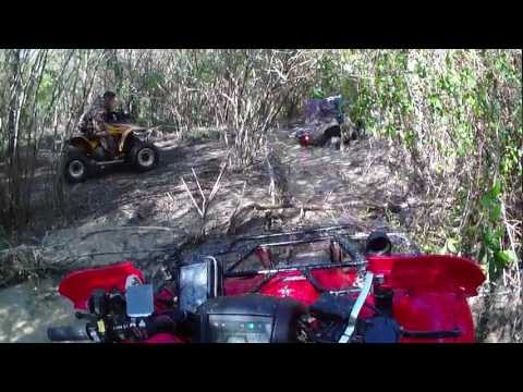 yamaha-grizzly,-honda-rancher,-polaris-550,-&-can-am-450-in-the-jungle!