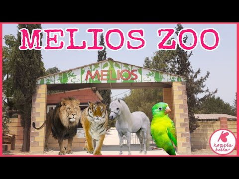 Melios Zoo ||