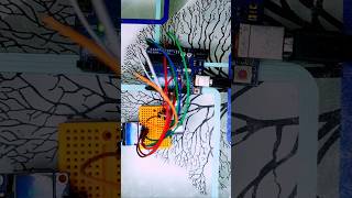 Arduino smart scale project ? #ytshorts  #shorts