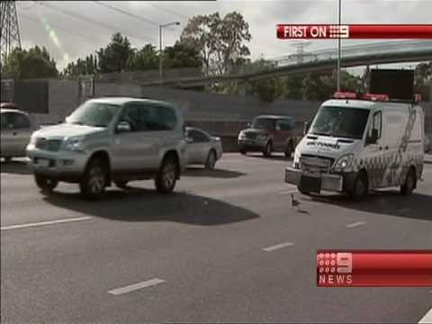 Ducks play chicken on freeway