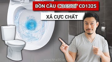 Xả thử Bồn cầu 2 Khối CAESAR CD1325/CT1325 | Nha5D.vn