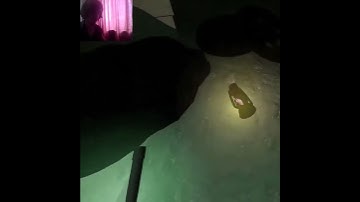 BUT I BLOCKED THE DOOR!!! #horrorgaming #facecam #screamreaction