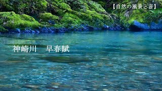 珠玉の影像で綴る早春の清流【自然風景・音響】